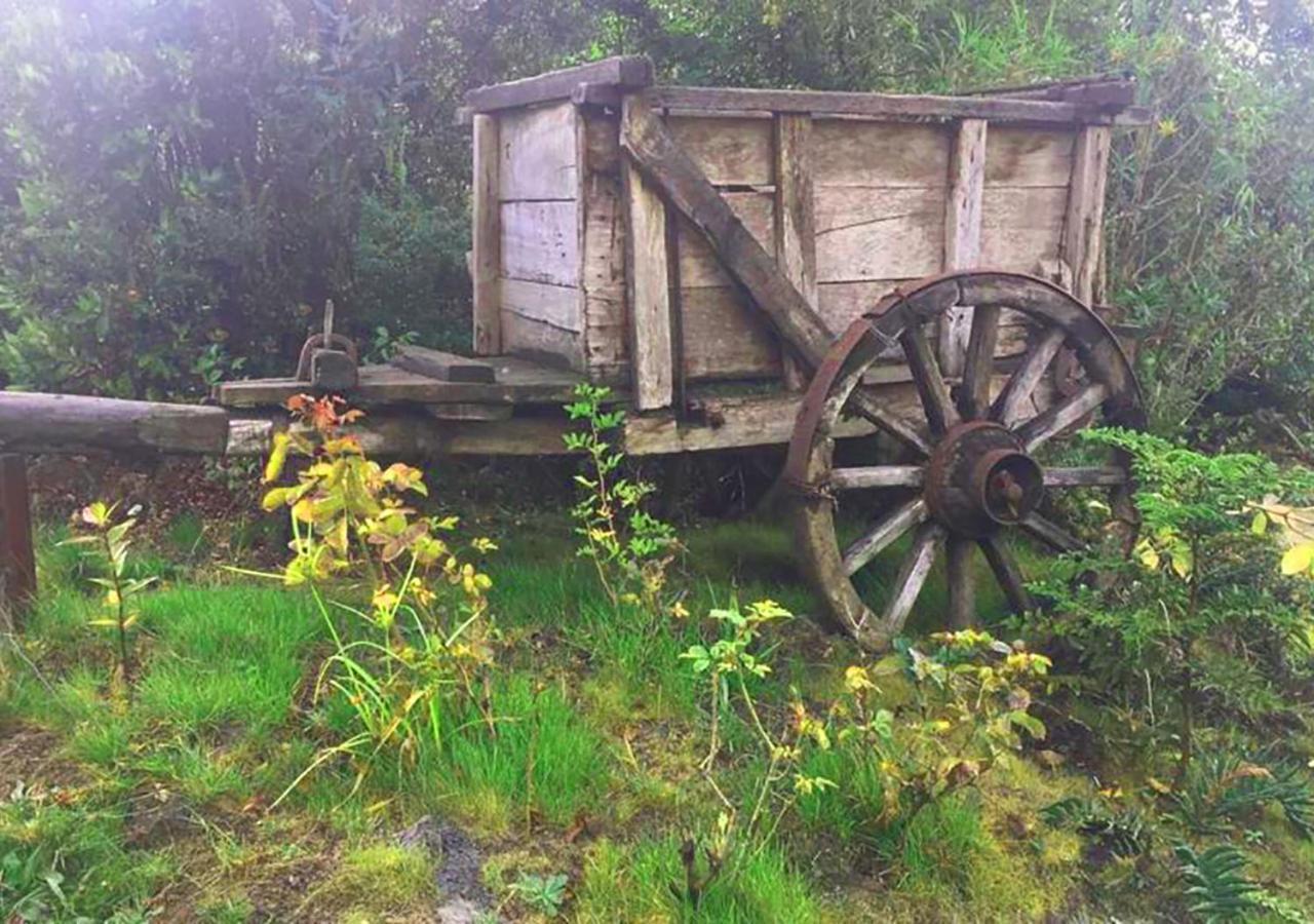 Cabanas Los Cantos Del Chucao Пуерто Варас Екстериор снимка